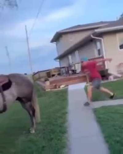 That side flip was nice tho