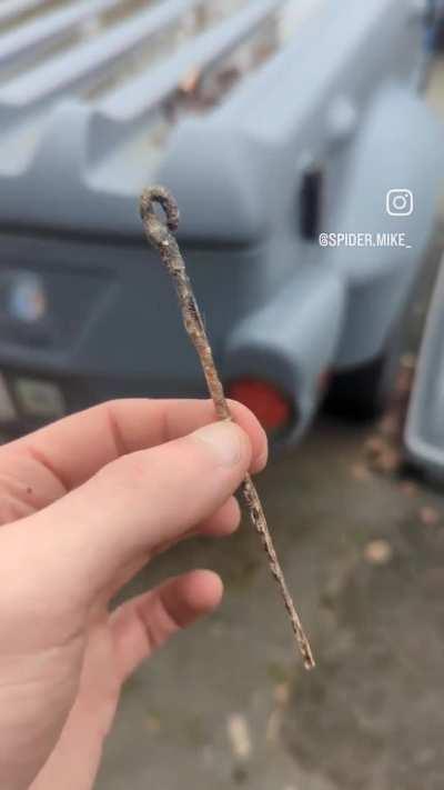 Unethical Rodent Spells