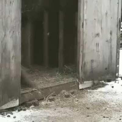 Amazing jump with celebration