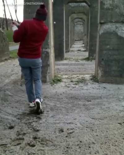 What are the chances? (via @dandemonte, @egal226)