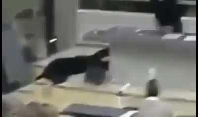 I'm 15 and this is yeet