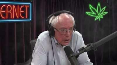 The Bernie Sanders Experience