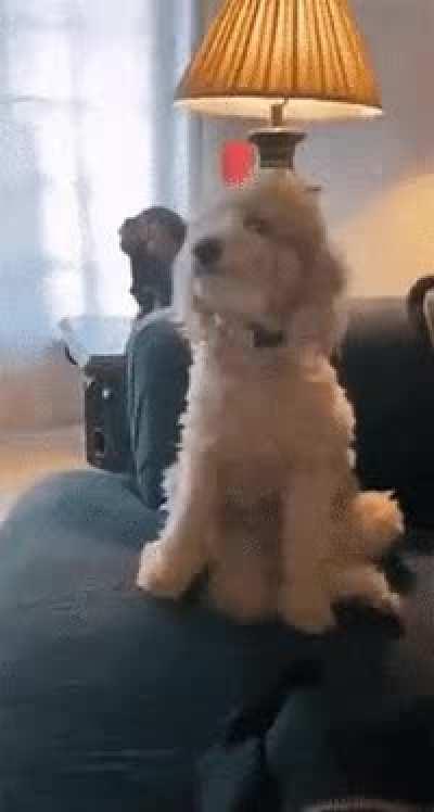 When you’re REALLY excited.