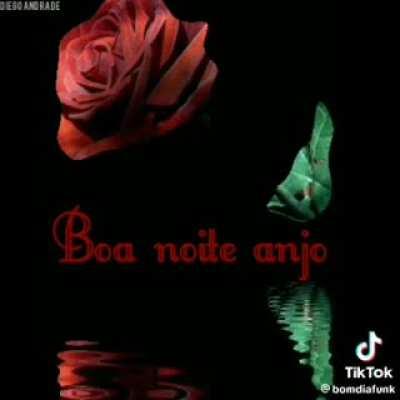 boa noite