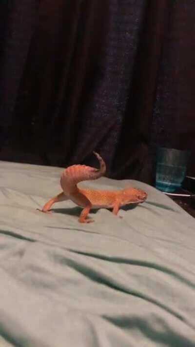 Alex didn’t like his reflection in the tv