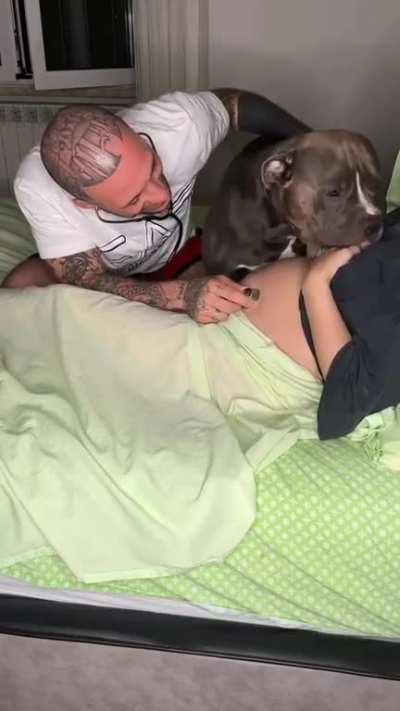 🐶 awaits his new bff