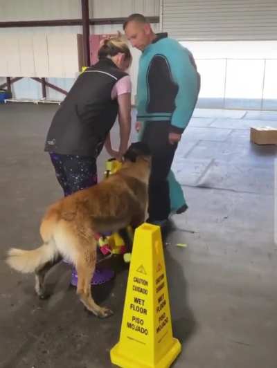 This dog’s loyalty and protectiveness over its owner