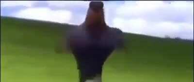 Simps llendo al chat de Abby a preguntarle que tal el día