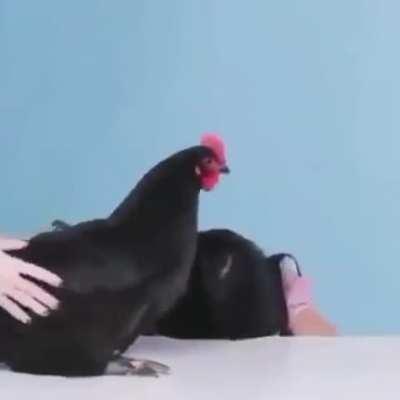 Don't know if this was posted here