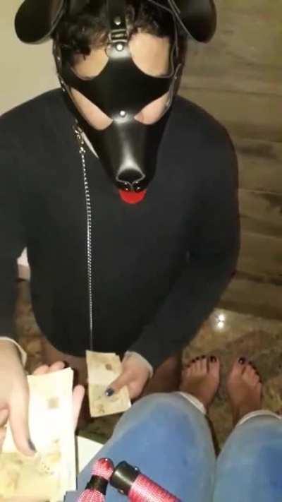 o que diabos seria isso?