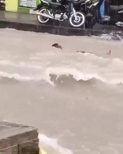 My flood people need me.