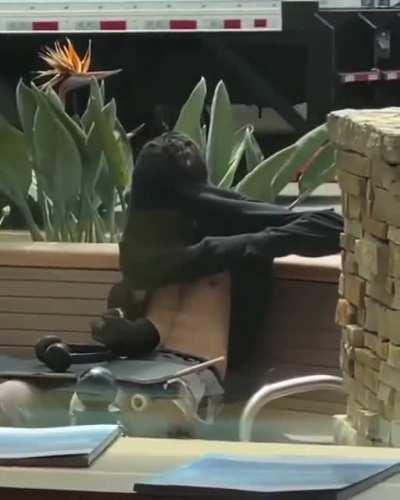 Smoking weed in public fail 😂