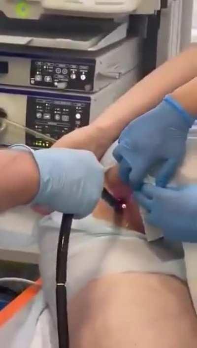 Is this what we do now?