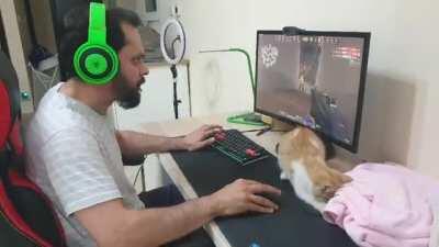 Winning a Deathmatch during a cat and mouse situation