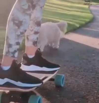 Every time I'm sad this always puts a smile on my face