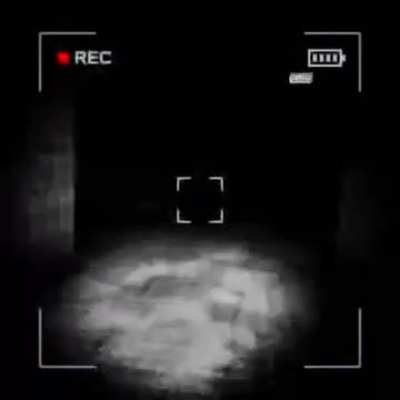 My first time playing content warning 😭 (sorry for the awful quality)