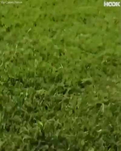 iNnoCeNt mAn ATTACKED AND MAULED TO DEATH by VISCOUS GANG OF CRIMINALS