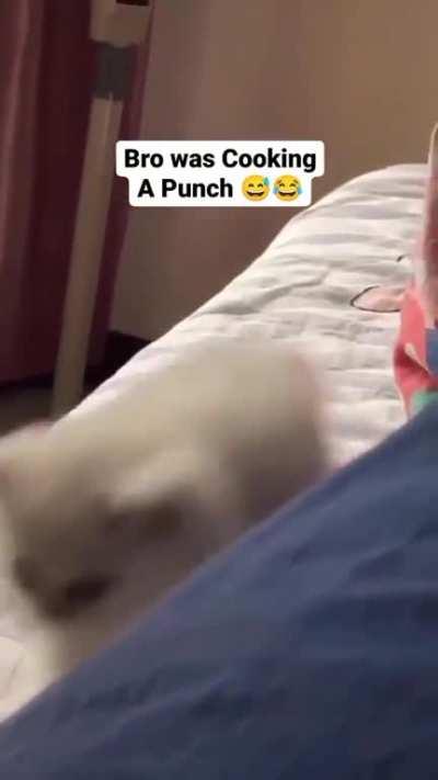A powerful punch Launcher