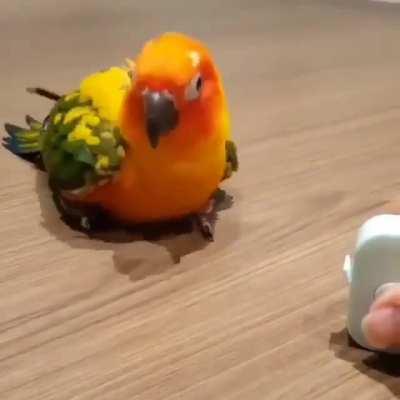 You Never Saw It Coming