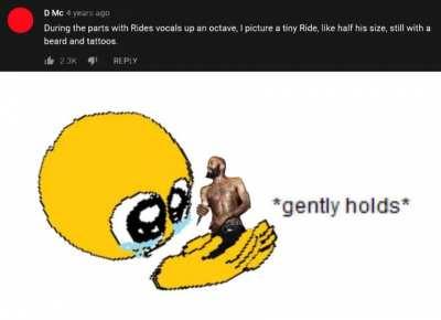 I saw a comment underneath the 'more than the fairy' video and...