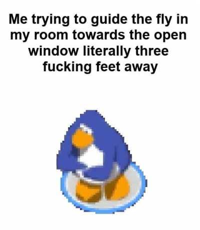 Fuck flies. All my homies hate flies.