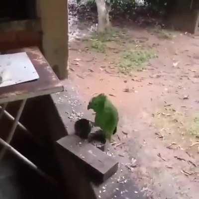 I think someone is hungry.