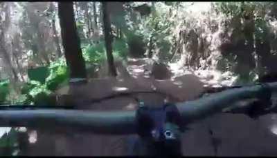 A Bike Ride with a Romantic Surprise