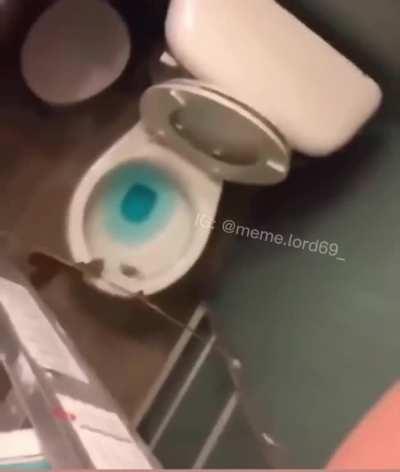 What are your strenghts?