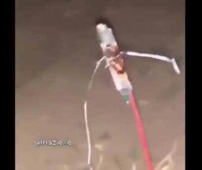 Roger roach to the moon