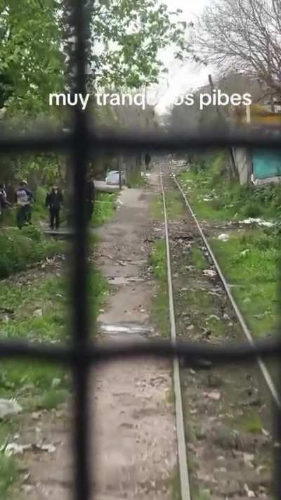 Pibitos arrojaron piedras al conductor de un tren de carga en Tucumán