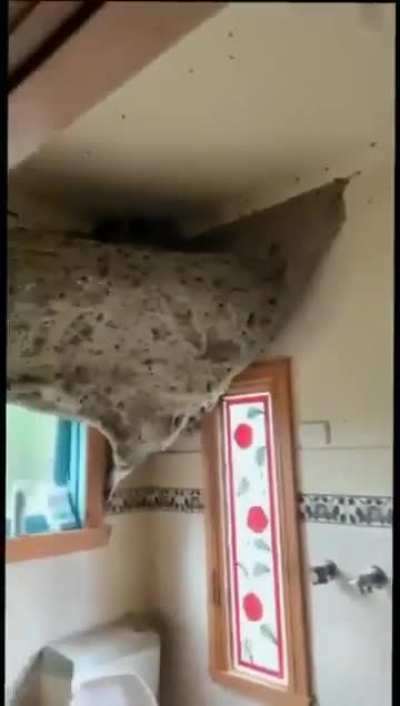 Burn the whole house!!!