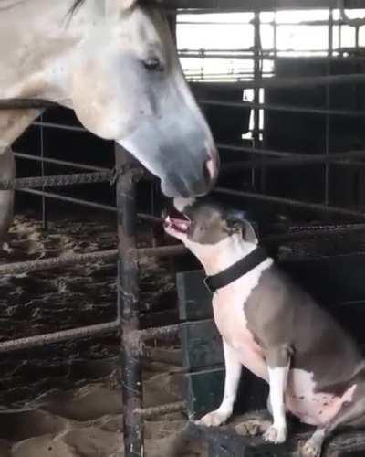 When you have mutual sympathy