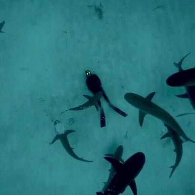 Just some Dude casually chilling on the Ocean floor surrounded by Sharks