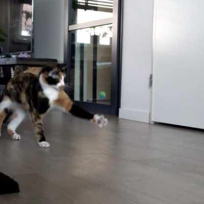 Chasing a bouncy ball in slow motion