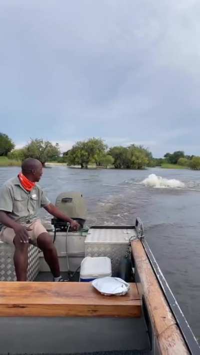 The animal I would fear most ladies and gentlemen. 3.5 tons of pure rage chasing you down the river. During some years across Africa, hippos killed 3000 people!