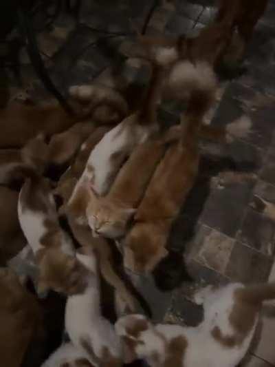 They keep spawning!!