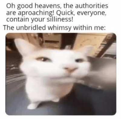 I can no longer contain myself :333333 :P