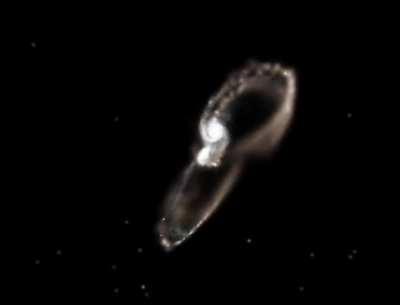 When galaxies collide Simulations are paused to reveal real images from the Hubble Space Telescope.