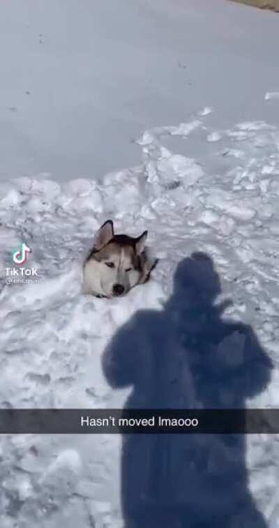 I am the snow guardian, guardian of the snow