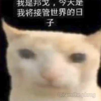 wena kitian mandate un saludo soy nuevo xuxetumare