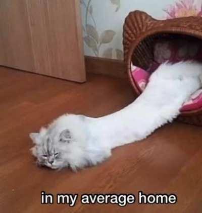 An interesting title