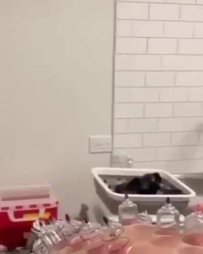 this is one of the most disturbing things i have ever seen , but don't know why