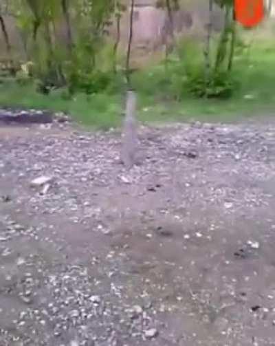 WCGW throwing a cigarette into a gas pipe?