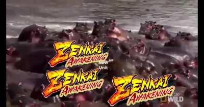 Current state of DBL