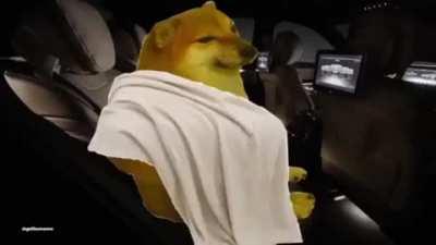 The most emotional thing I've seen ina while (wamtch timll enmd)