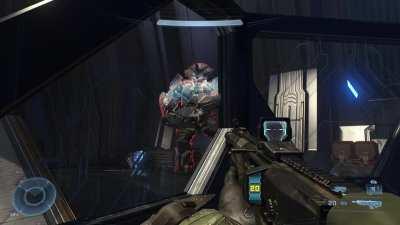 My dog in the window when I get back from work