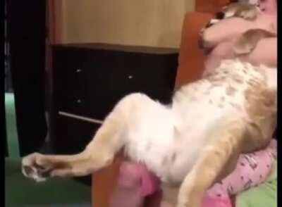 Someone please make a ten hour version of this