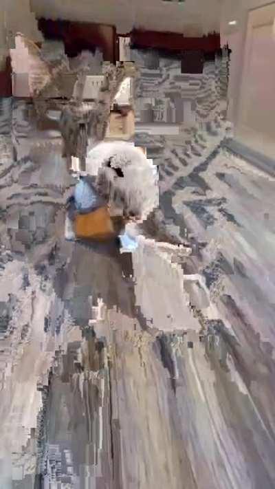 Молодец котейка, не унывает