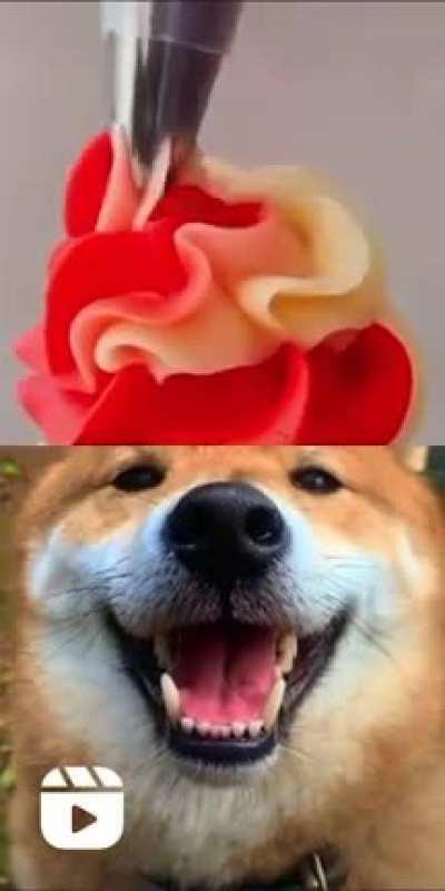 DoGgO gEtS a CrAnIoToMy AnD iS tUrNeD iNtO a CuPcAkE