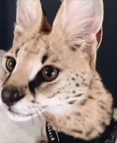 POV: sogga comes home drunk again